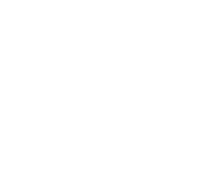 Davison logo